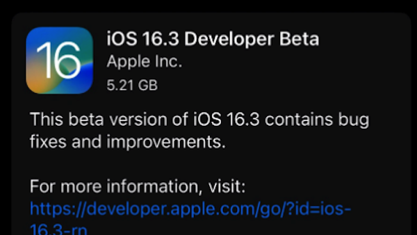 苹果 iOS / iPadOS 16.3 开发者预览版 Beta 发布-ios学习从入门到精通尽在姬长信