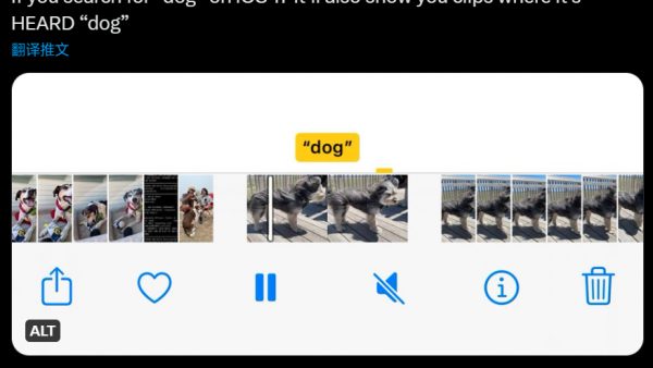 苹果 iOS 17 隐藏细节：可通过关键字搜索 iPhone 视频内声音-ios学习从入门到精通尽在姬长信