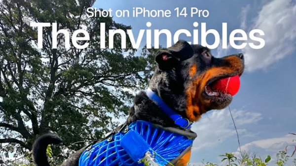 苹果分享 iPhone 14 Pro 拍摄的短片：使用 LiDAR 为宠物设计定制假肢-ios学习从入门到精通尽在姬长信