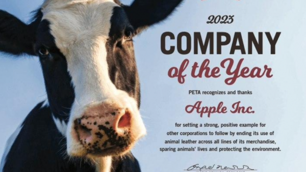 苹果弃用皮革制品，被 PETA 评为“动物伦理待遇奖”年度最佳公司-ios学习从入门到精通尽在姬长信