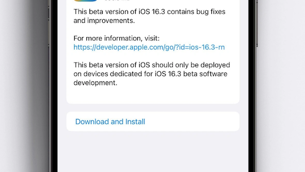 苹果发布 iOS 16.3/iPadOS 16.3 公测版 Beta 2-ios学习从入门到精通尽在姬长信